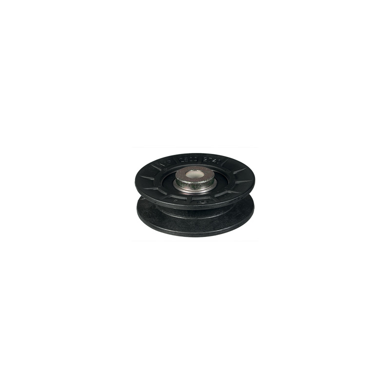 PULEGGIA  AYP 165626                    