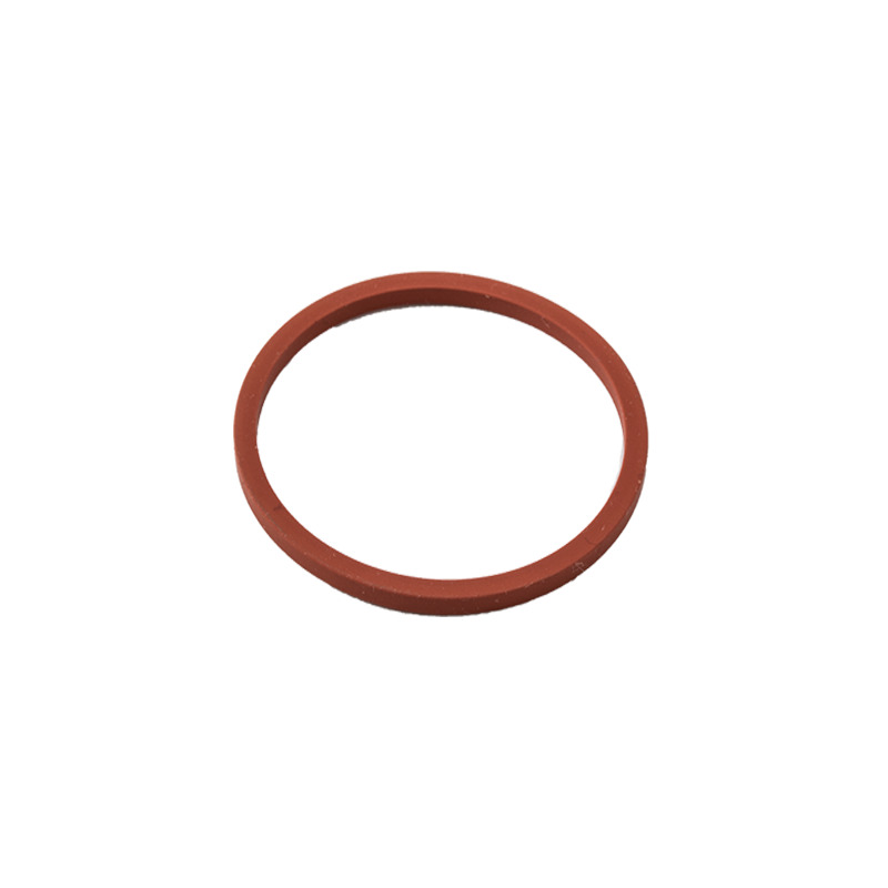 ANELLO DI TENUTA BRIGGS & STRATTON