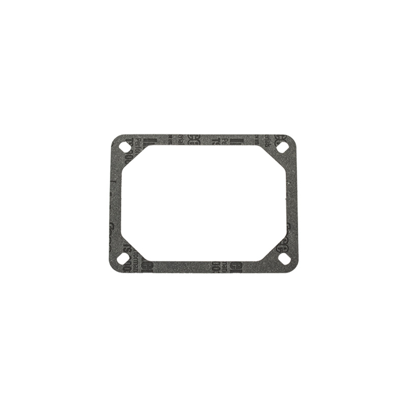 GUARNIZIONE COPERCHIO VALVOLE BRIGGS & STRATTON        