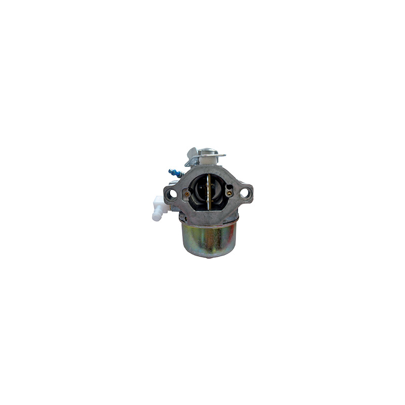 CARBURATORE ADATTABILE BS 799728