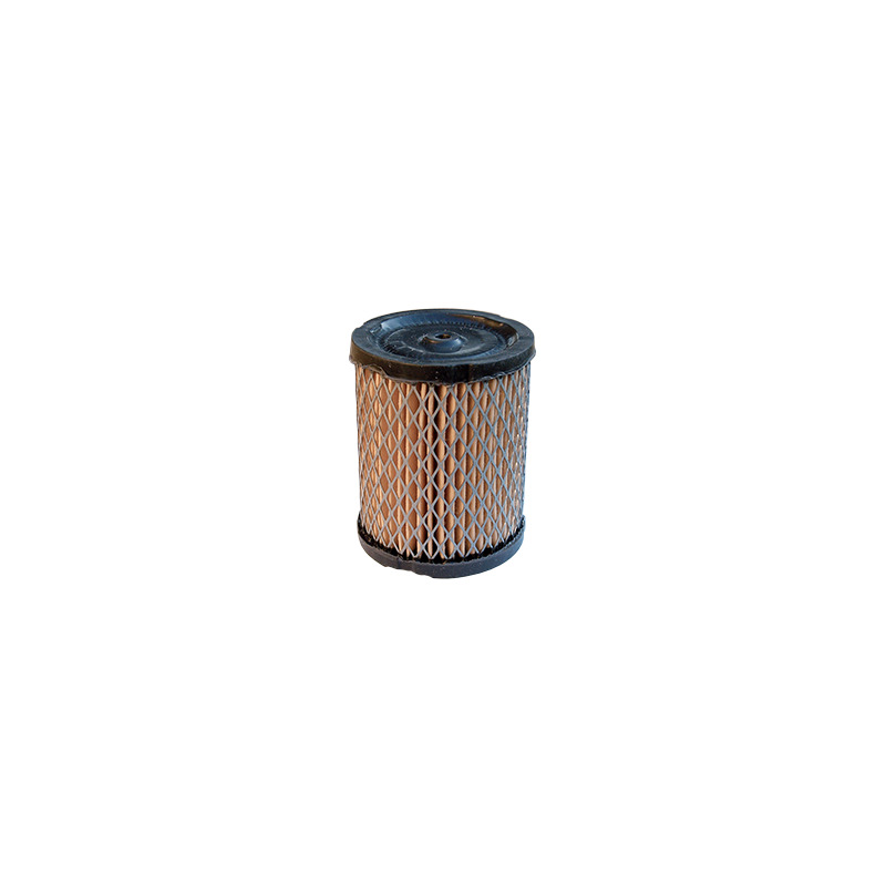 FILTRO ARIA TECUMSEH 34782