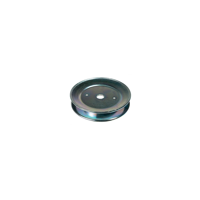 PULEGGIA  AYP LAMA 129206 D. 123        