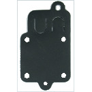 MEMBRANA                   (4168  CONF. 5PZ)