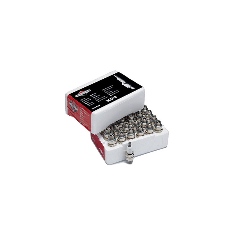 CANDELA BRIGGS & STRATTON BS-SV-Cu (GARAGE 24 PZ)