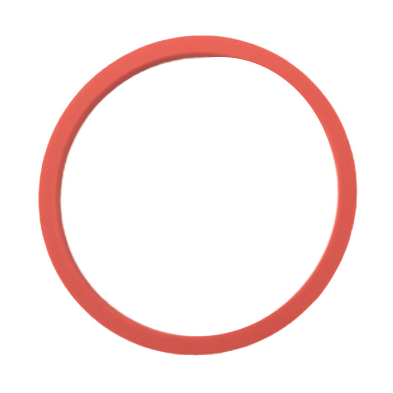 ANELLO DITENUTA BRIGGS & STRATTON 