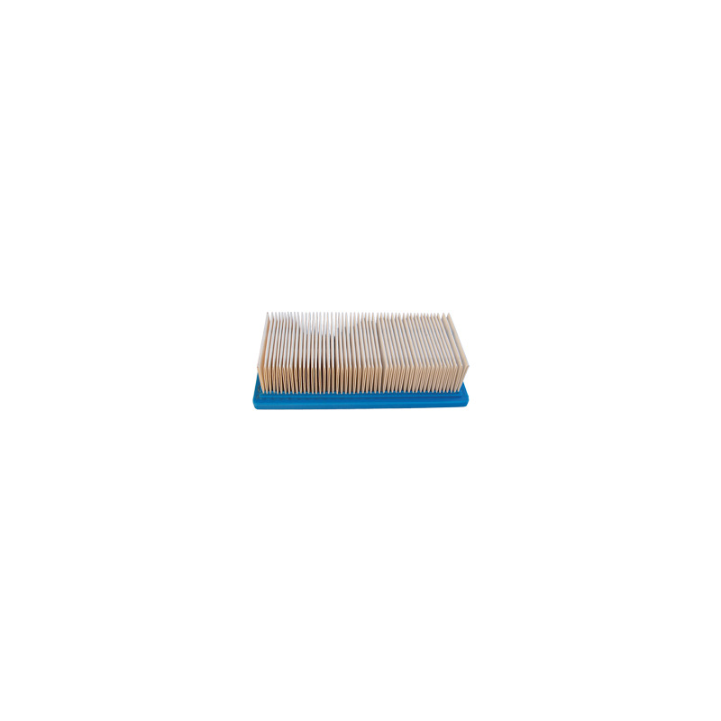 FILTRO ARIA PER VANGUARD 9 HP
