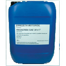 CASTROL GARDEN 4T 10W30  60LT