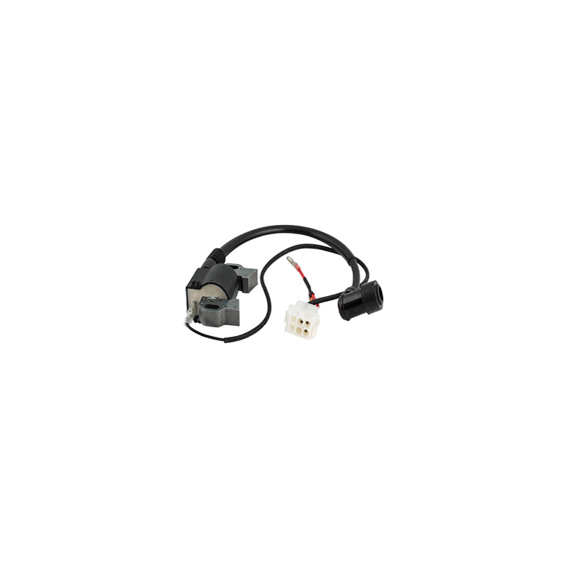 BOBINA RATO PER MOTORE RV340