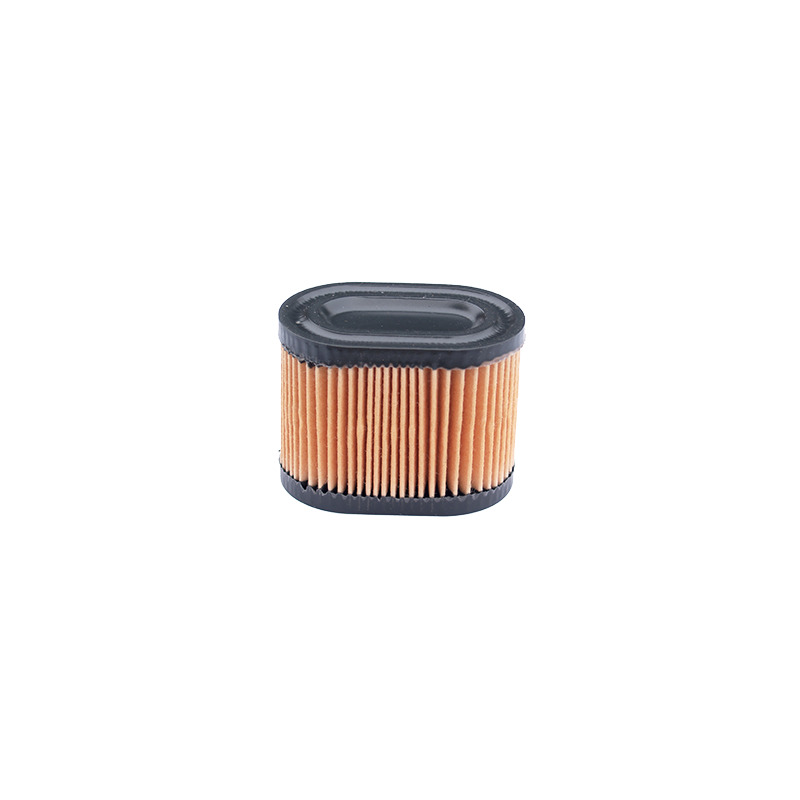 FILTRO ARIA TECUMSEH 23410060 - 36745