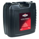 OLIO SAE 30 - 25 LT - 4T