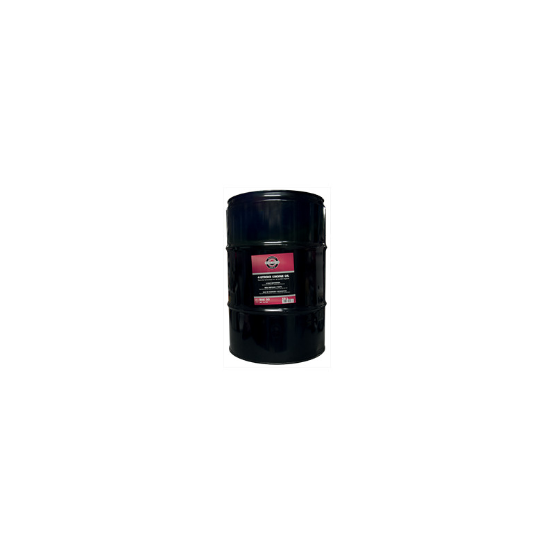 OLIO SAE 30 - 60 LT - 4T              