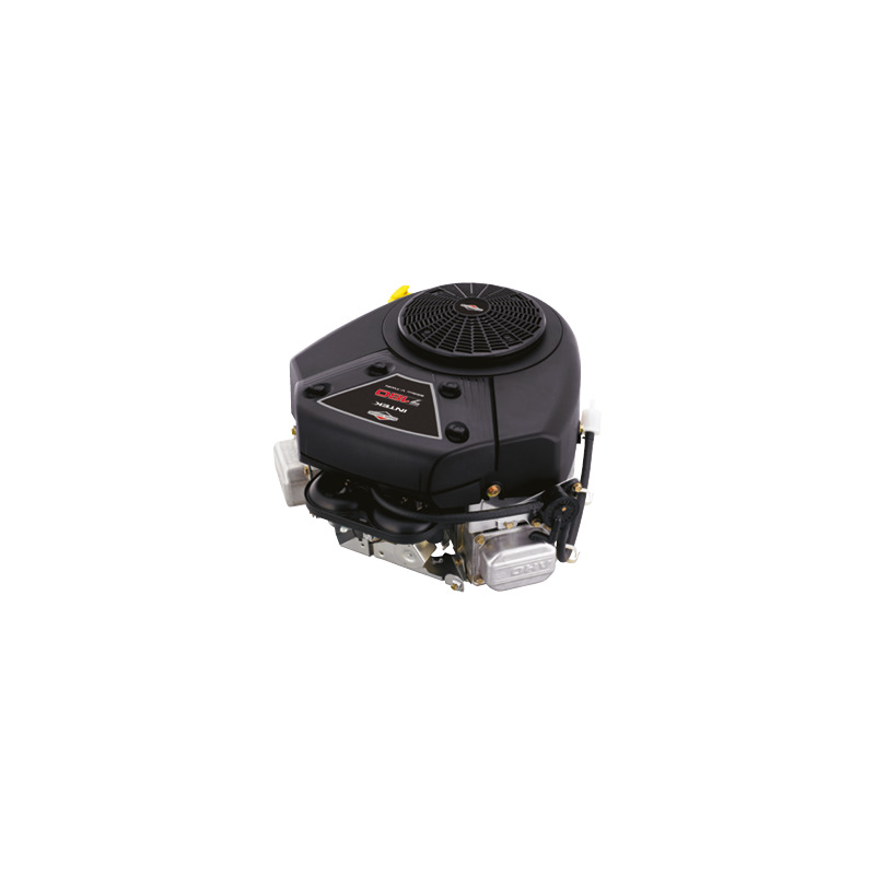 MOTORE BRIGGS & STRATTON 7220 OHV 656 CC V 25X80 FILTRO OLIO-REGOLATORE-POMPA BE