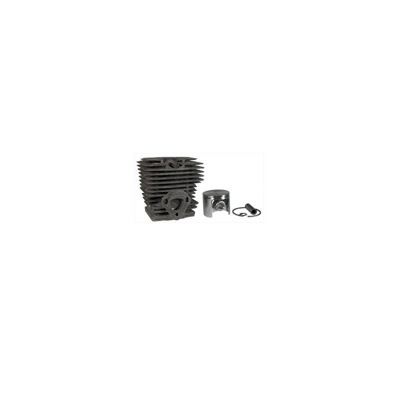 ASS.CIL.PISTONE D=45 DC55-MS510 05 RIC  