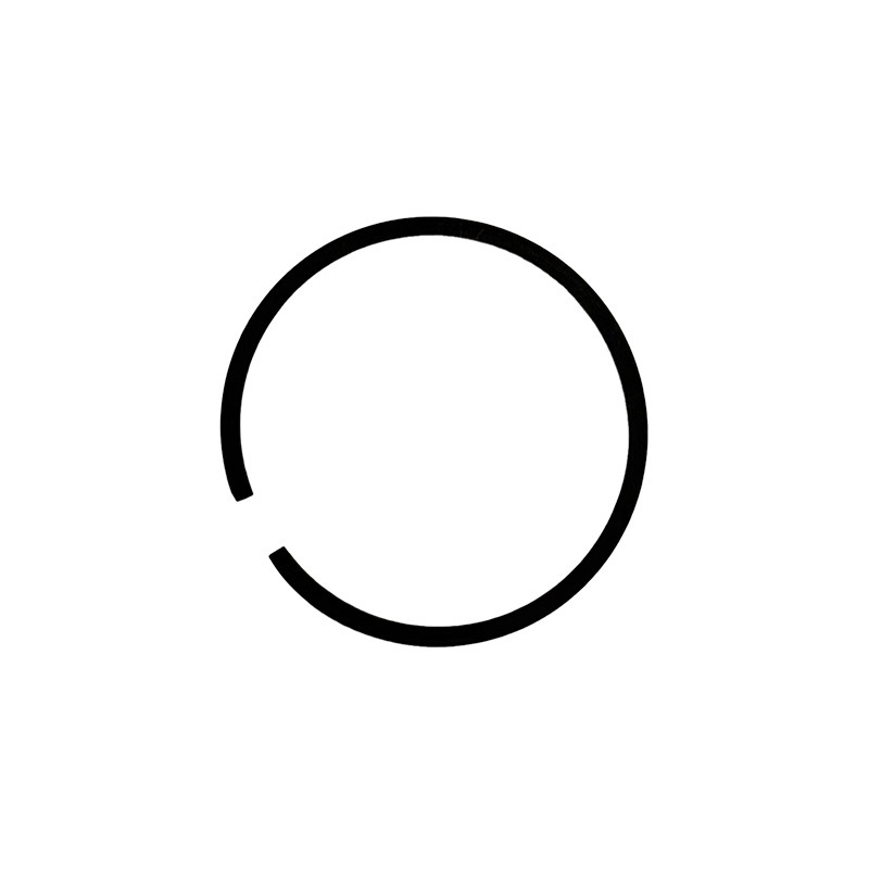 PISTON RING