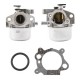 BS799871