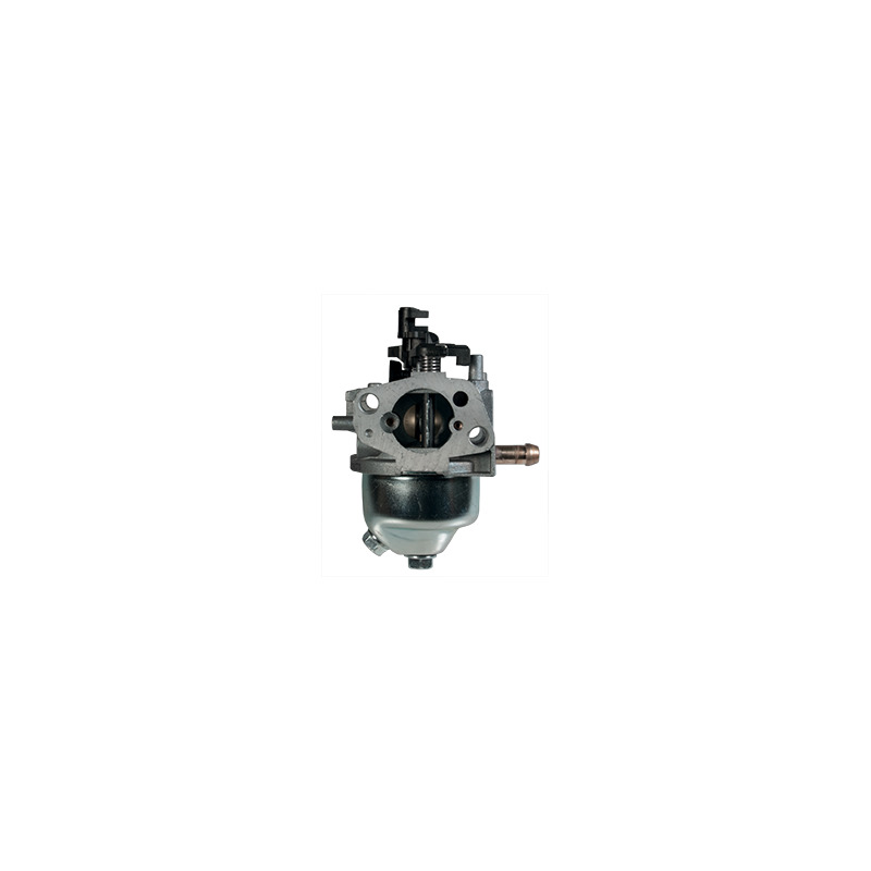 CARBURATORE _ 170020467-0001        2009
