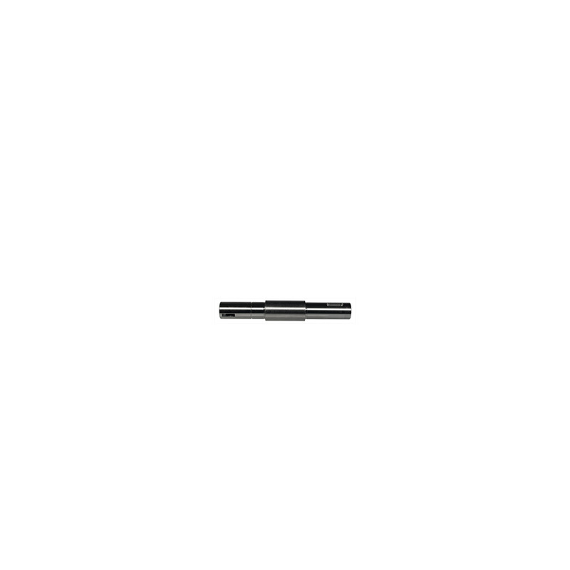 ALBERO   (100058)