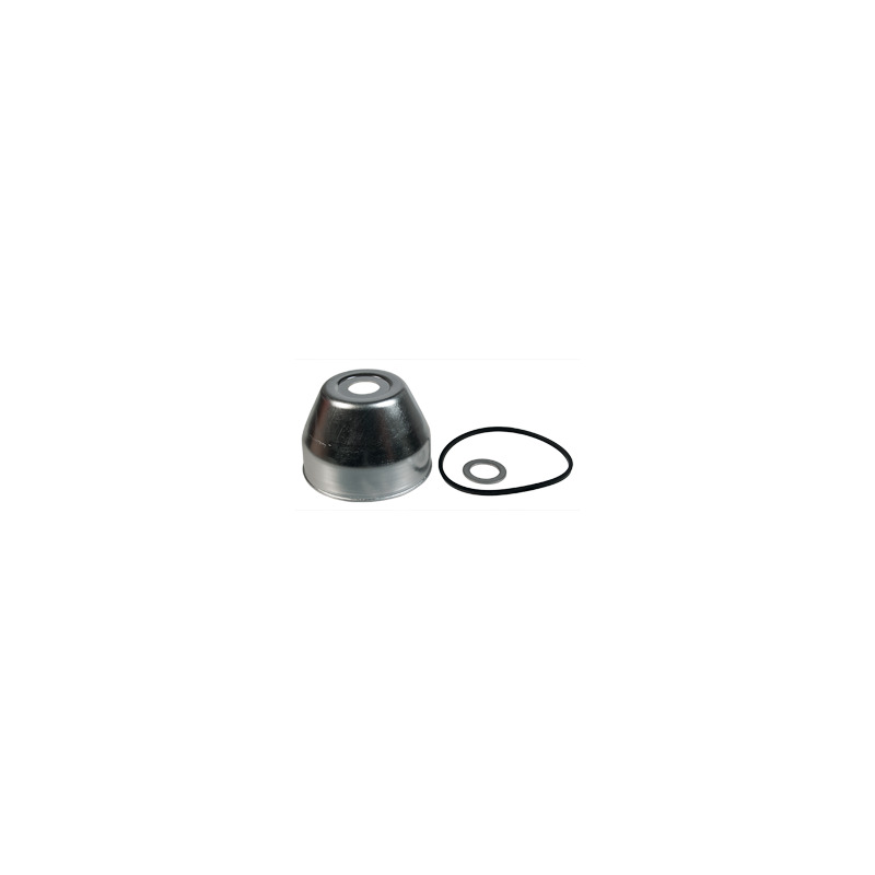 VASCHETTA BRIGGS & STRATTON                VASCHETTA BRIGGS & STRATTON