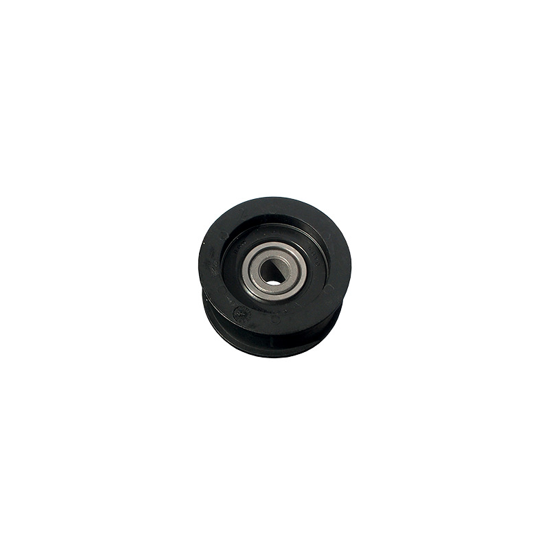PULEGGIA AYP 166143