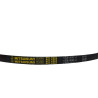 CINGHIA INNESTO LAME TC 102 MITSUBOSHI    B55