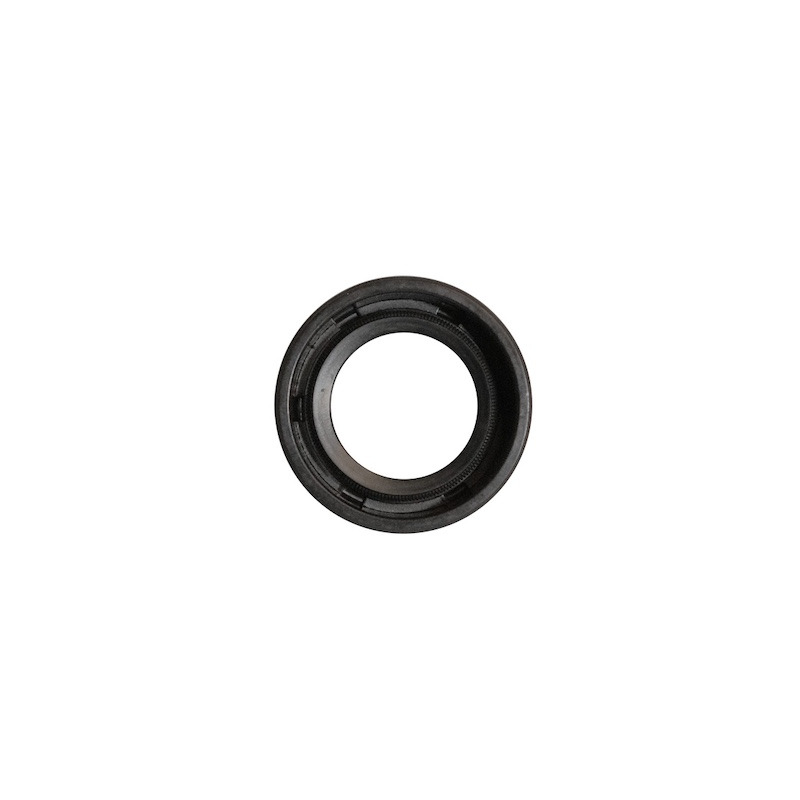 CANDELA CHAMPION MOTORI OHV RC12YC 16