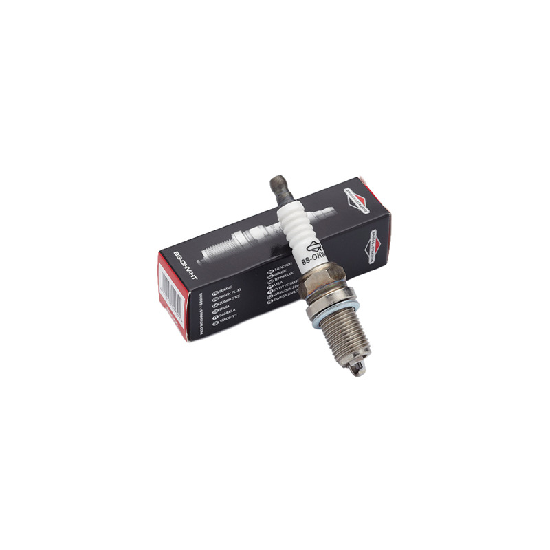 CANDELA BRIGGS & STRATTON OHV HT