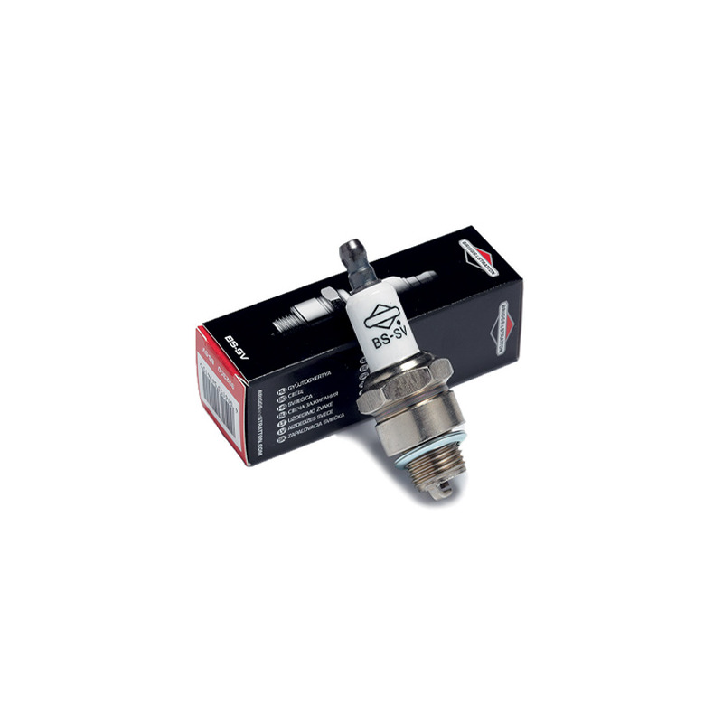 CANDELA BRIGGS & STRATTON BS-SV-Cu EX 992040