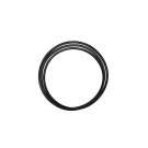 CINGHIA INNESTO LAME TC 102 MITSUBOSHI    B55   610043