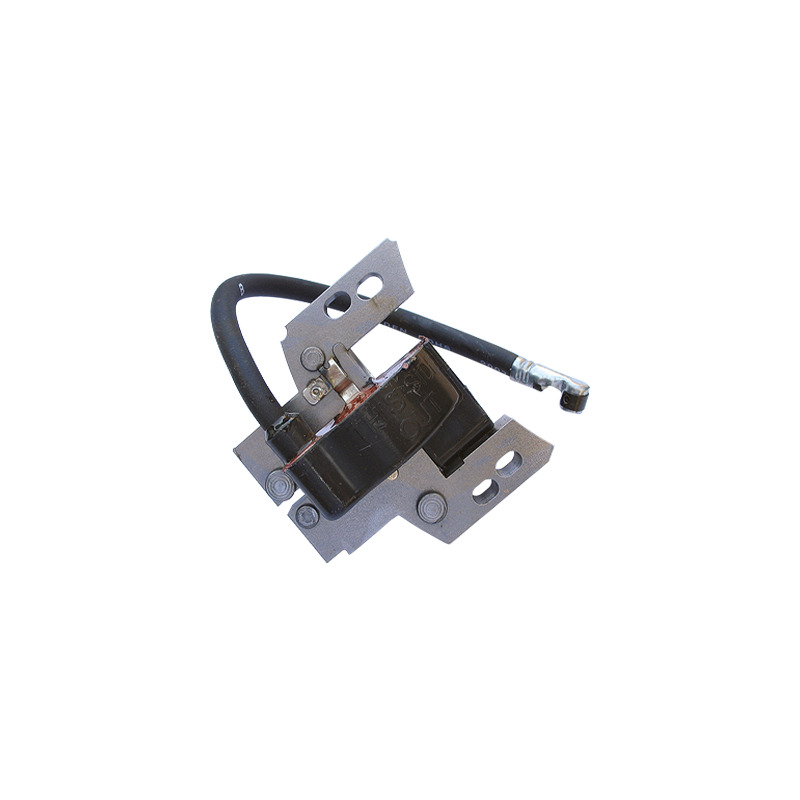 BOBINA B&S PER QUANTUM POWER INTEK 2 TEMPI