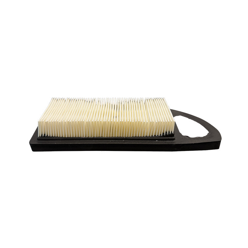FILTRO ARIA CARTA    VEDI BS795115