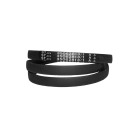 CINGHIA INNESTO LAME TC 102 MITSUBOSHI    B55   610043