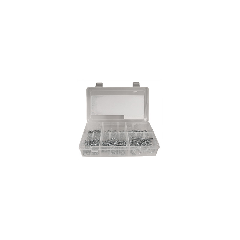 ASSORTIMENTO CLIPS                      