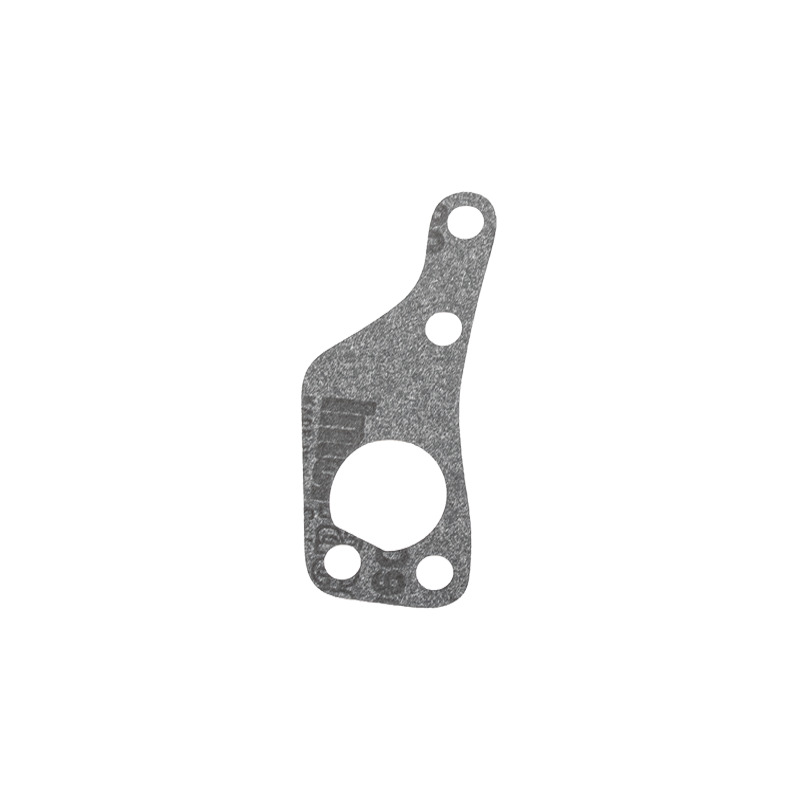 CINGHIA  REPL. 0494                     