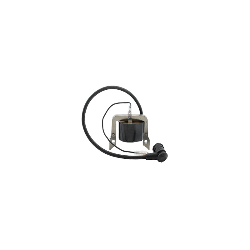 BOBINA CAPACITIVA BLUE BIRD 450910