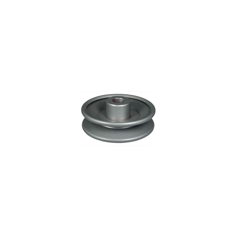 PULEGGIA MURRAY 21096