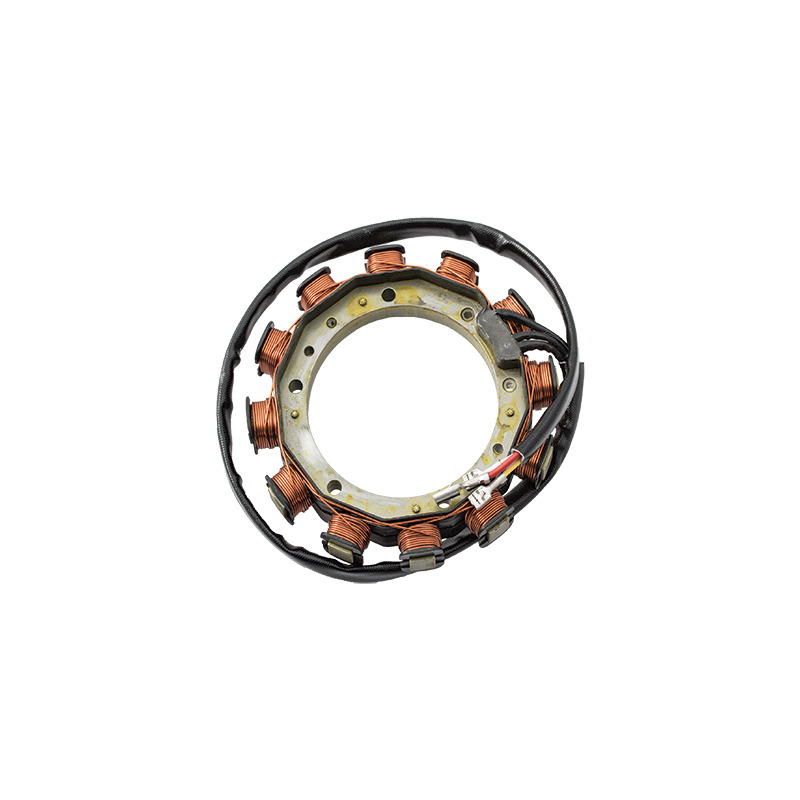 ALTERNATORE LOMBARDINI 12V-12/24A    8565.130