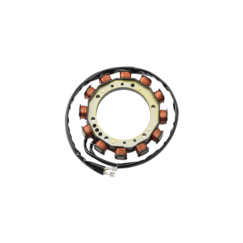 ALTERNATORE LOMBARDINI 12V-12/24A    8565.130
