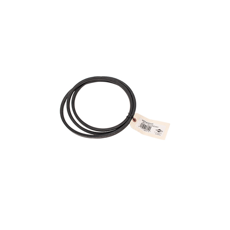 CINGHIA (770082)
