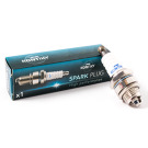 CARBURATORE NGP