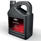 OLIO SAE 30 - 5 LT  - 4T                  