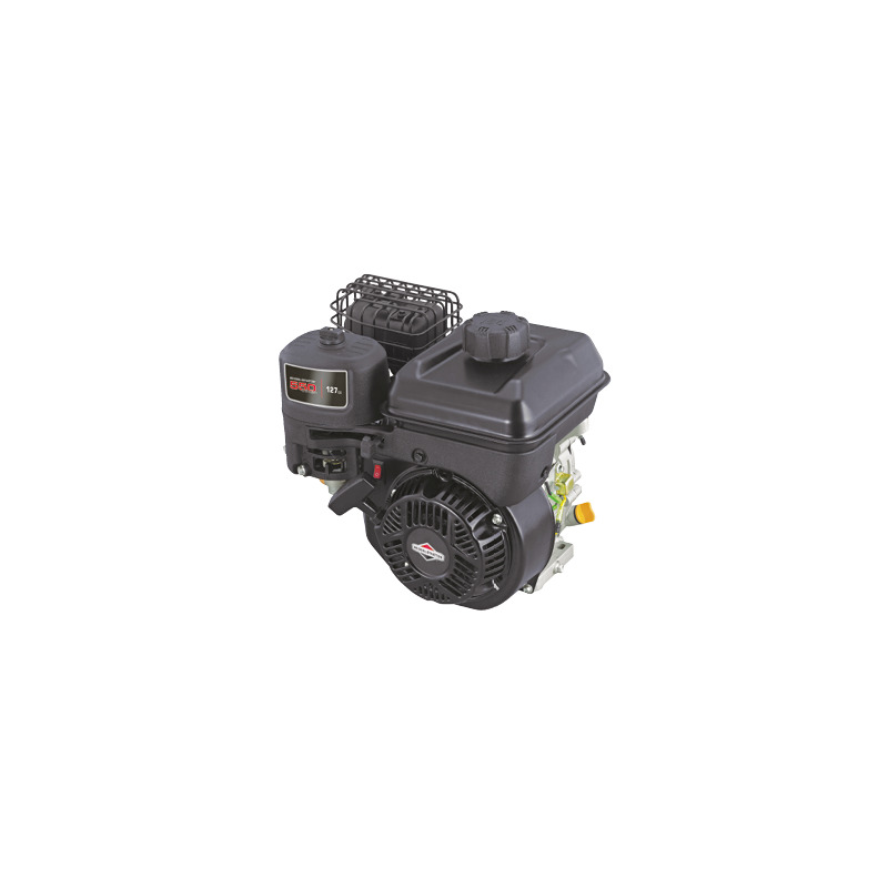 MOTORE BRIGGS & STRATTON OHV 127CC H 19X60