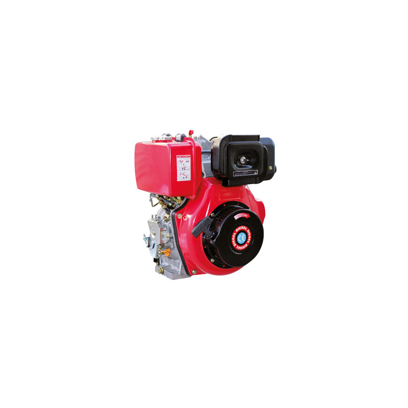 MOTORE DIESEL 306 CC ALBERO CONICO 23 FLANGIA AVVIAMENTO A STRAPPO