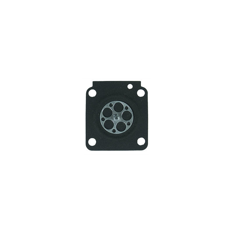 MEMBRANA ZAMA  MEMBRANA ZAMA