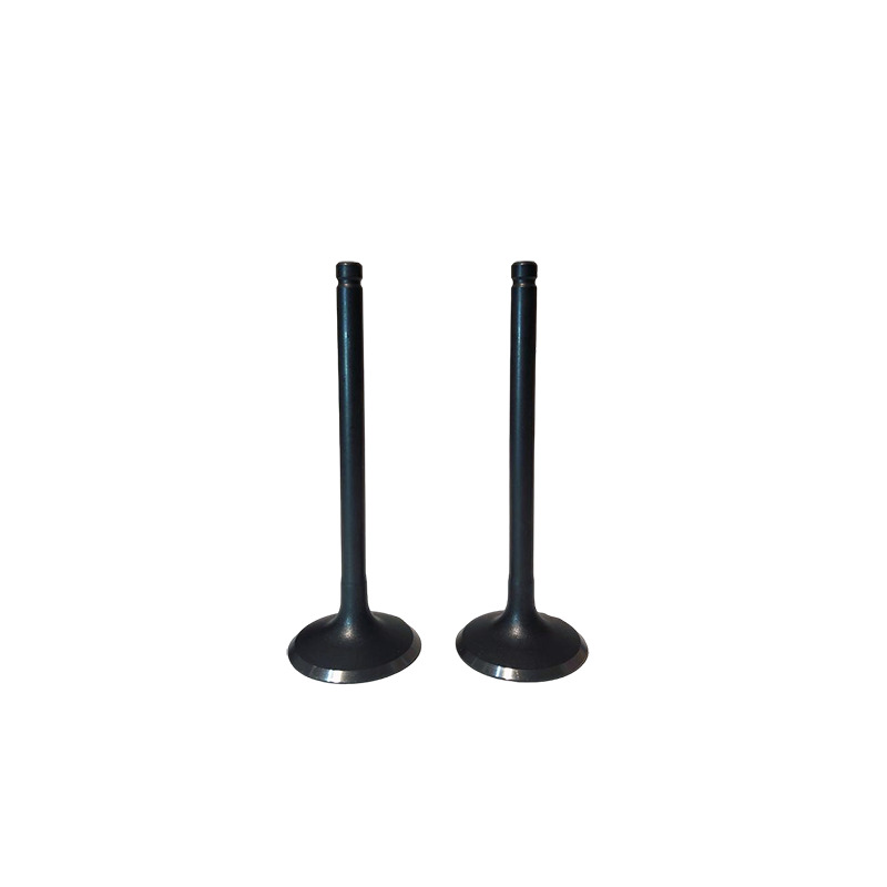 SET VALVOLE R210