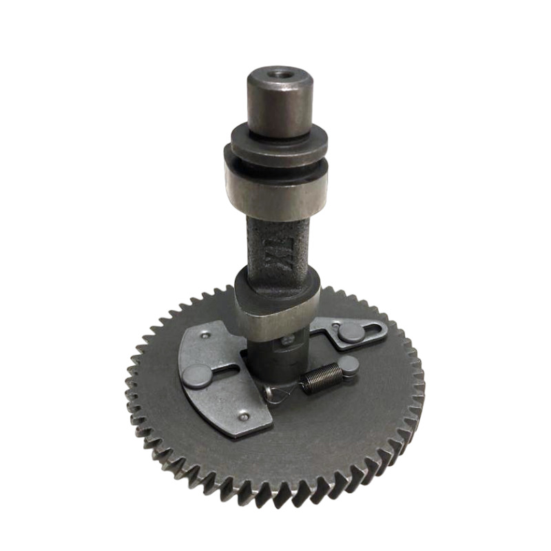 ASS. ALBERO A CAMMES R300