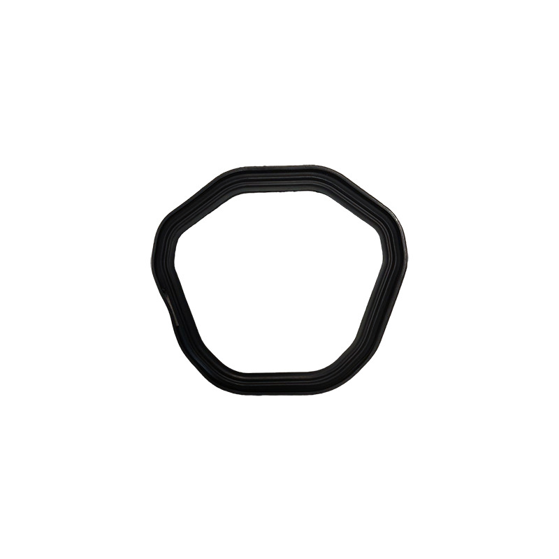 GUARNIZIONE COPERCHIO VALVOLE R300