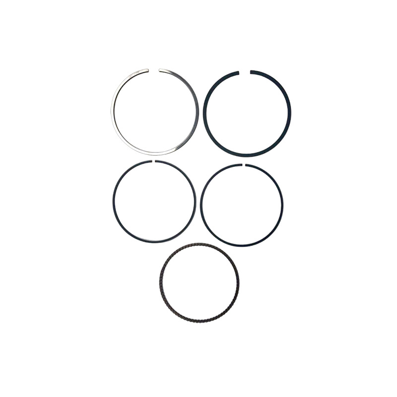 ASS. SEGMENTI R210-RV225