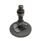 ASS. ALBERO A CAMMES R300