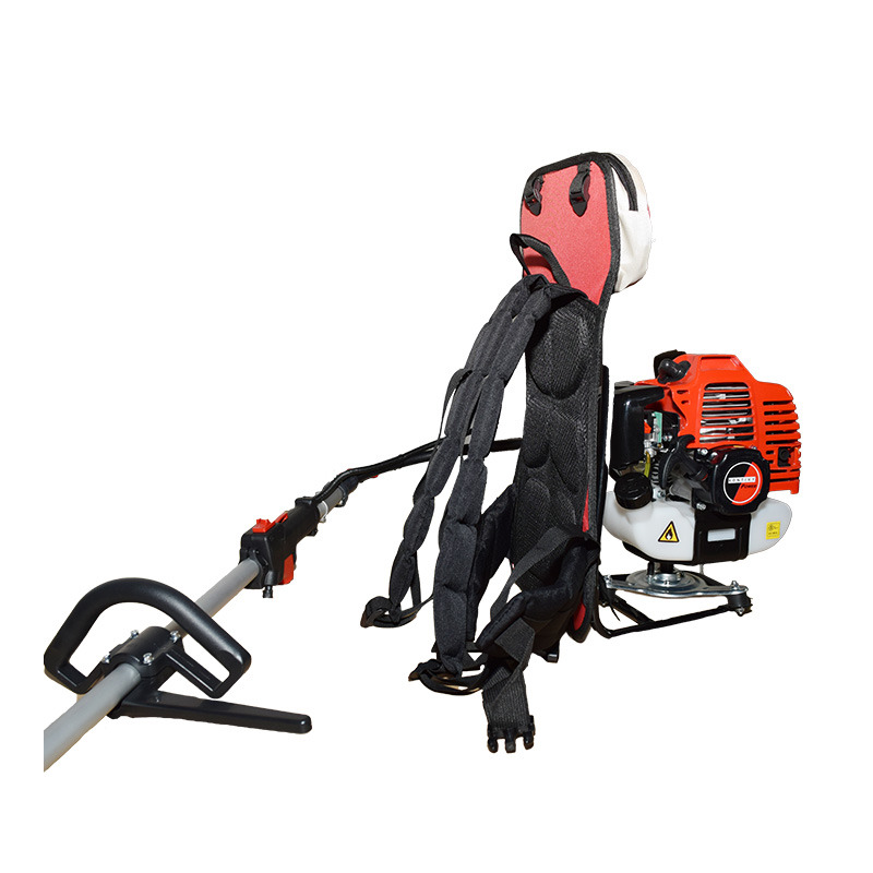 CINGHIA FRESA 7484  SPA882