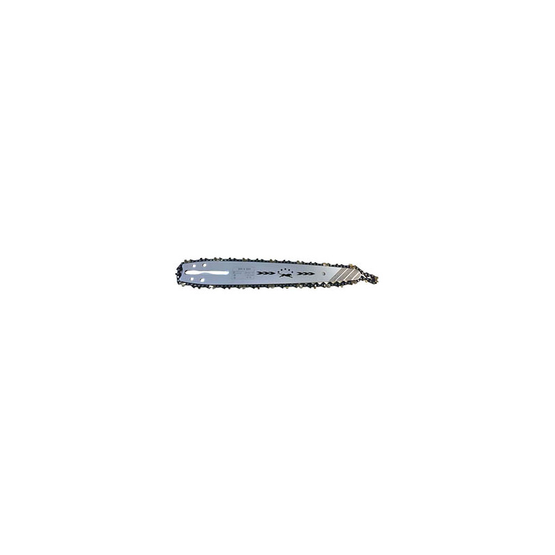 BARRA E CATENA 10" 1/4 1.1 mm 60 maglie PER MSK2500